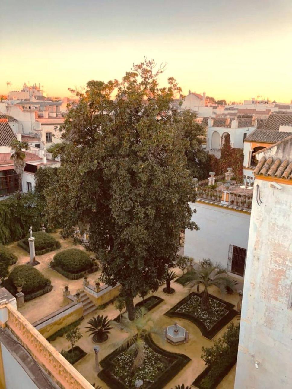 Atico Caleria Con Vistas A La Giralda Apartment Seville Exterior photo